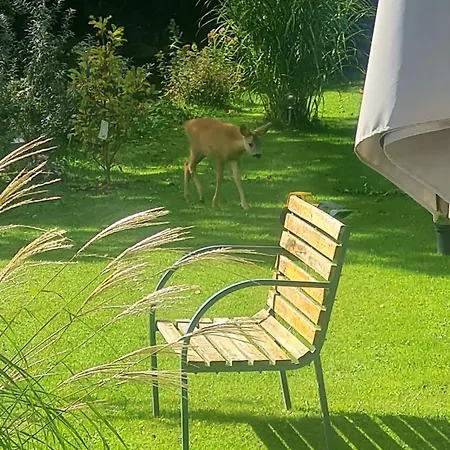 דירה Zauberberg Apartements