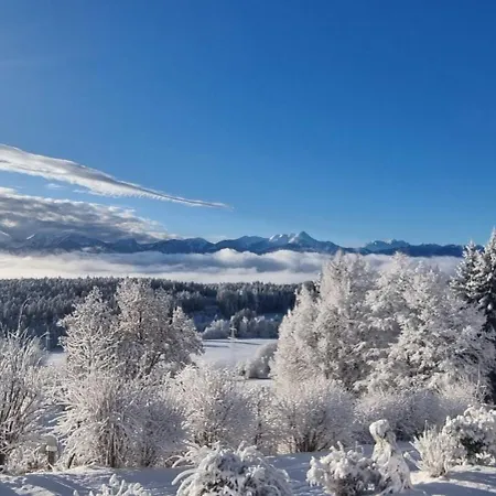 Zauberberg Apartements *