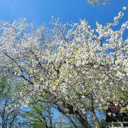 Zauberberg Apartements * Schwarzendorf