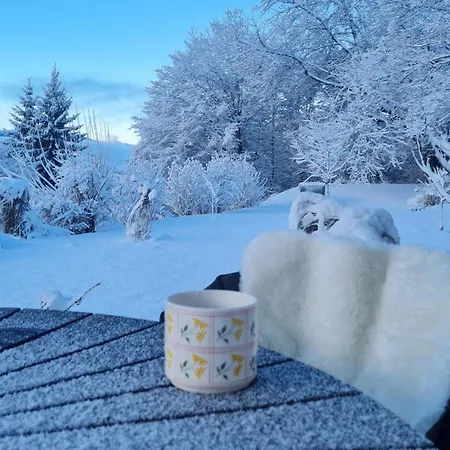 Zauberberg Apartements