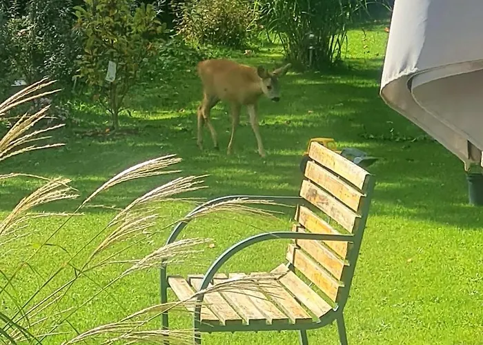 Apartament Zauberberg Apartements