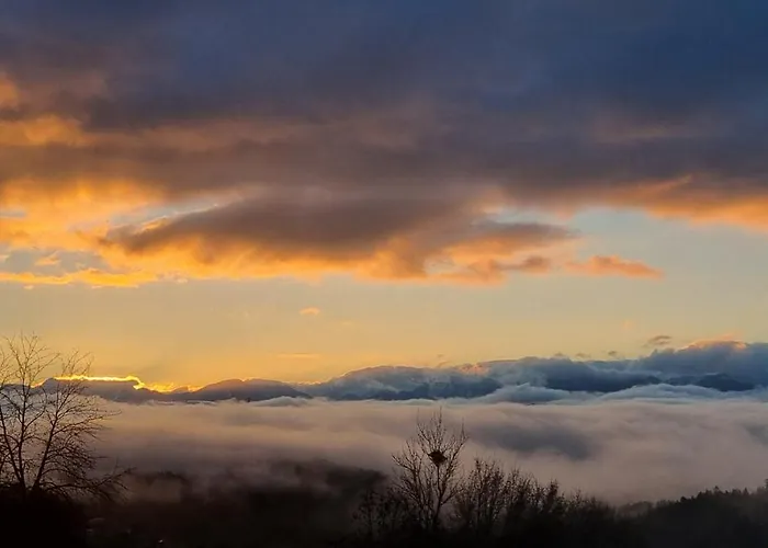 Zauberberg Apartements Apartament *