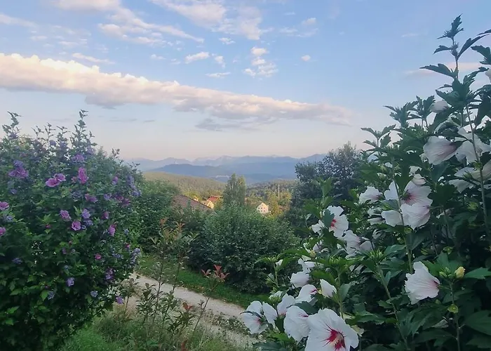 Apartament Zauberberg Apartements Schwarzendorf