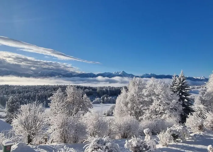 Zauberberg Apartements *