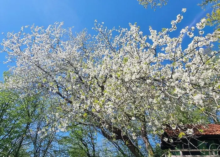 Zauberberg Apartements * Schwarzendorf