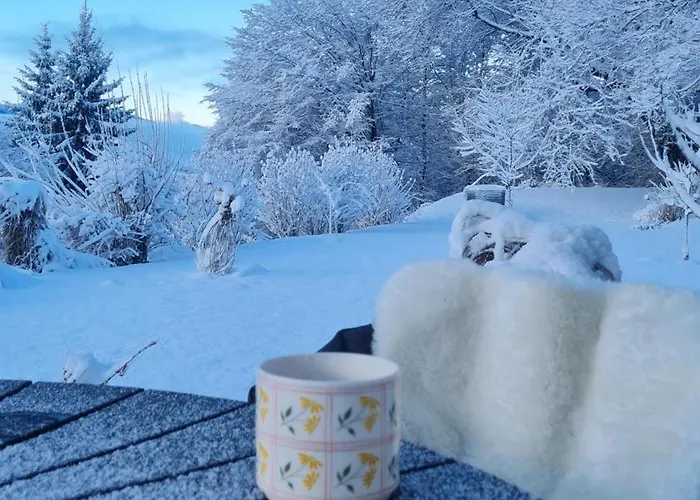 Zauberberg Apartements